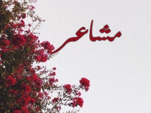 شعور الحب