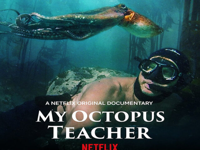 My Octopus Teacherتعلمت من الأخطبوط