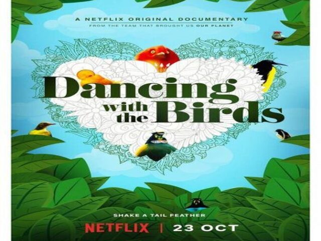 Dancing with the Birds الرقص مع الطيور